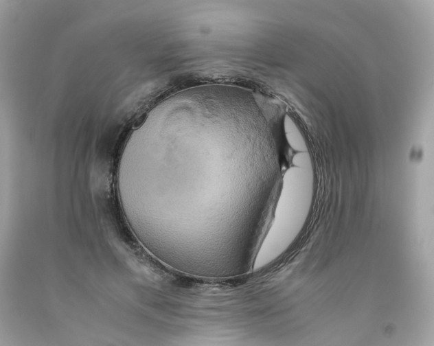 X0000091540597200709141457