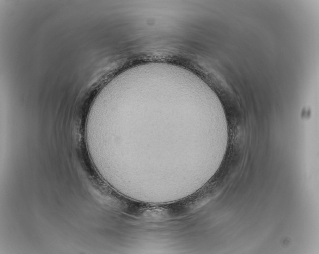 X0000091540599200709141457