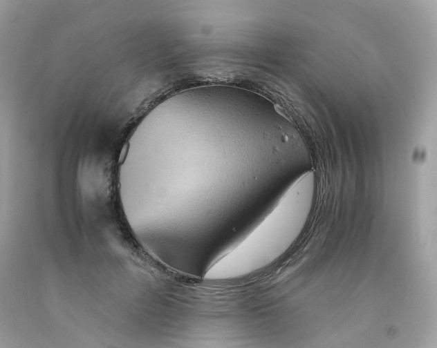 X0000091540600200709141457