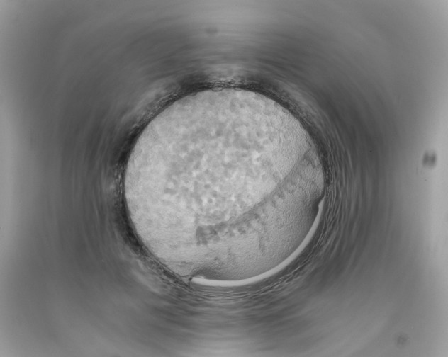 X0000091540601200709141457