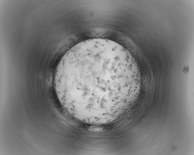 X0000091540602200709141457