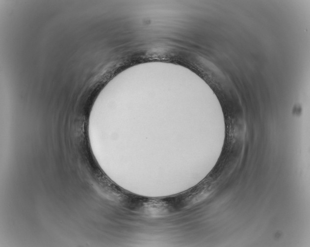 X0000091540603200709141457