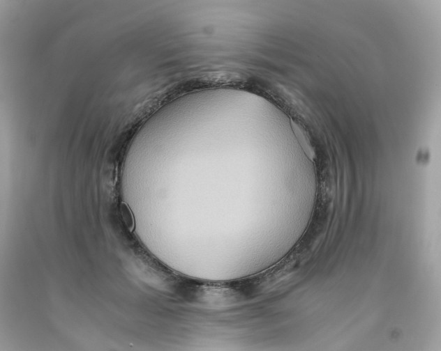 X0000091540605200709141457