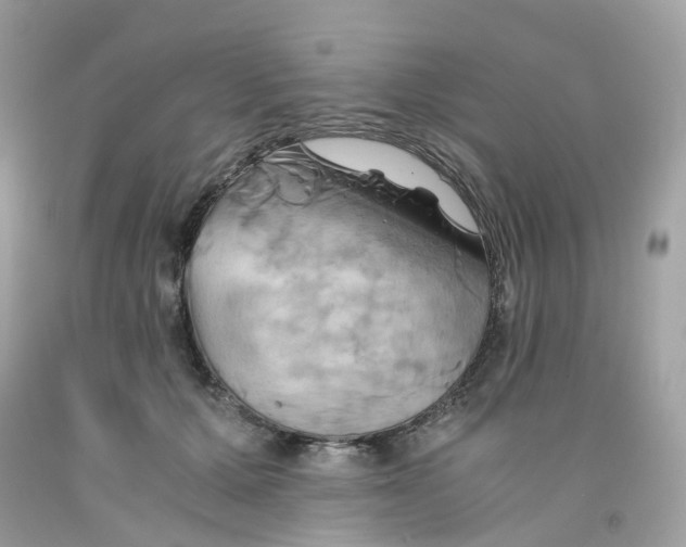 X0000091540607200709141457