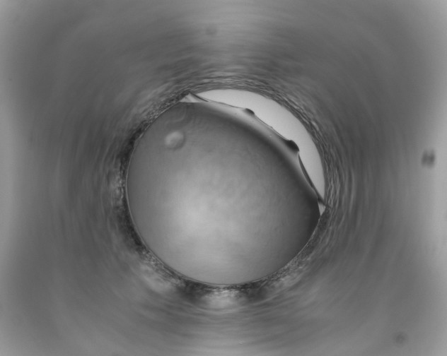 X0000091540609200709141457