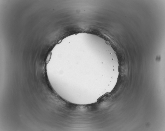 X0000091540613200709141457