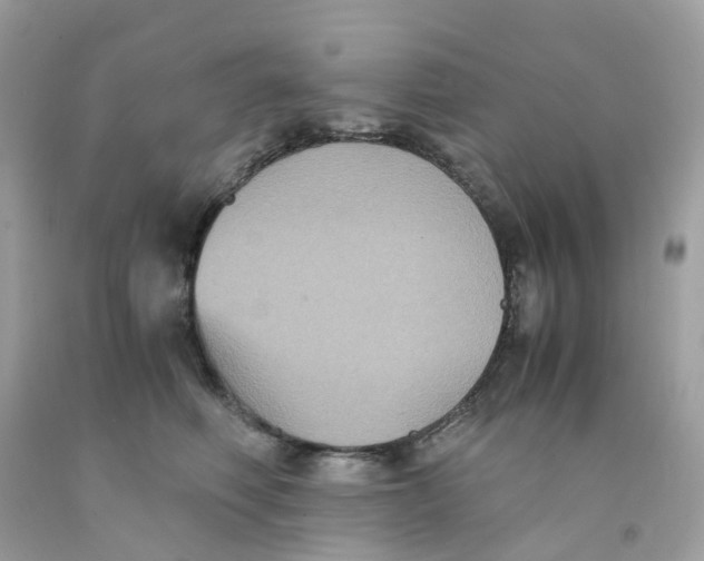 X0000091540614200709141457