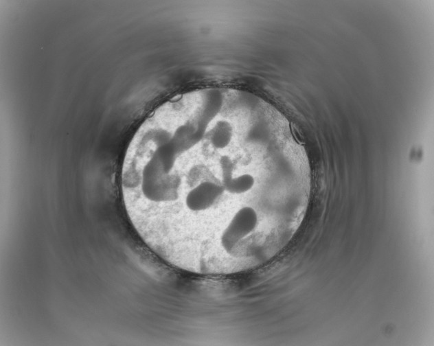 X0000091540615200709141457