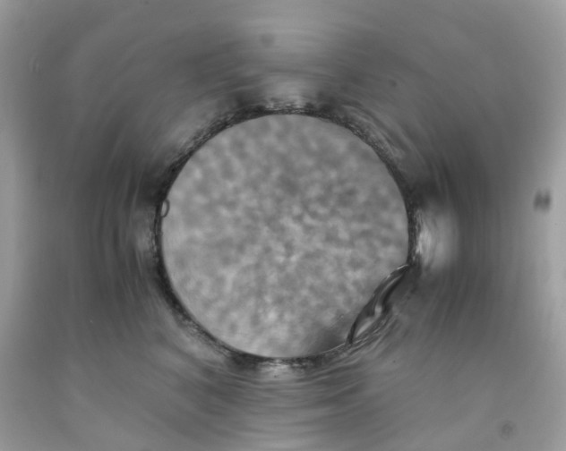 X0000091540616200709141457