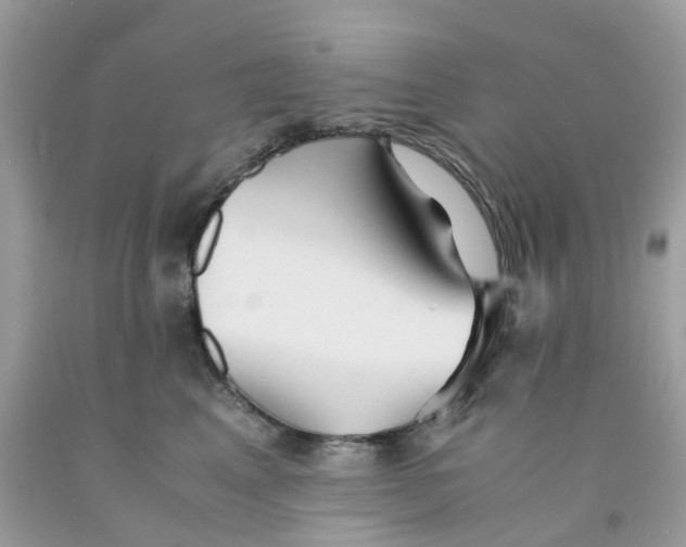 X0000091540617200709141457