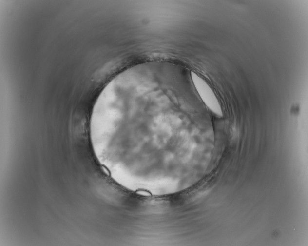 X0000091540619200709141457