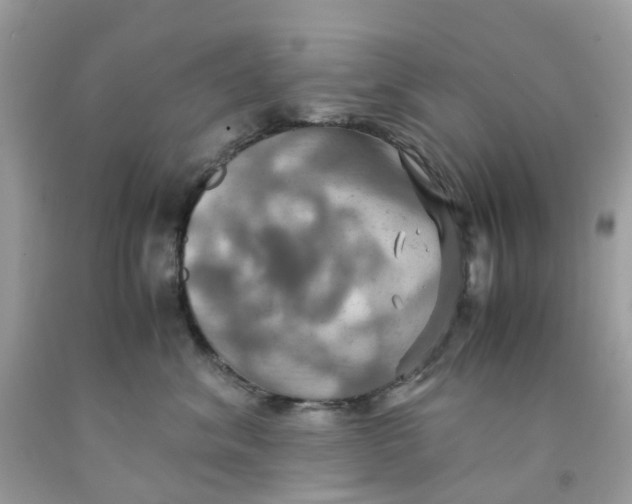 X0000091540620200709141457