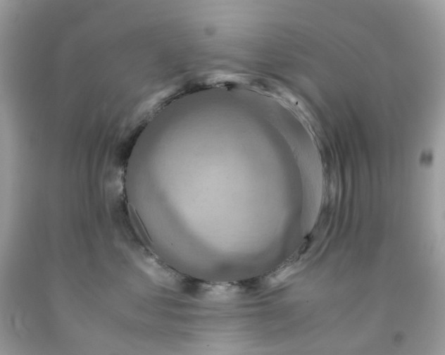 X0000091540621200709141457