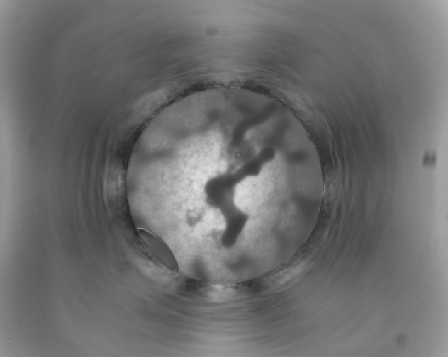 X0000091540623200709141457