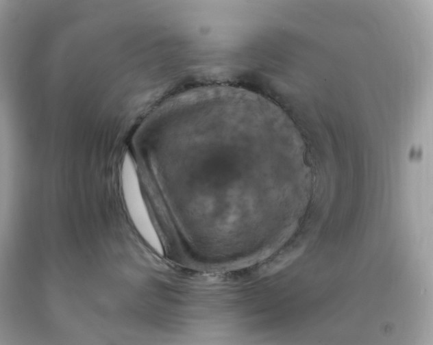 X0000091540624200709141457