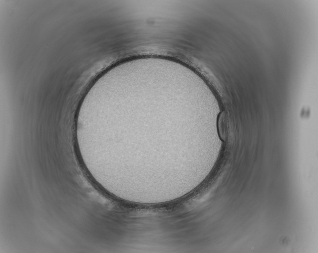 X0000091540625200709141456