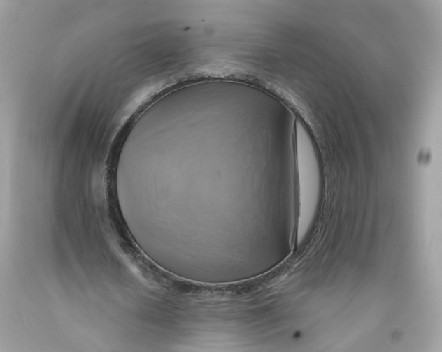 X0000091540626200709141456