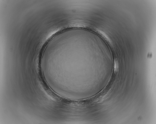 X0000091540627200709141456