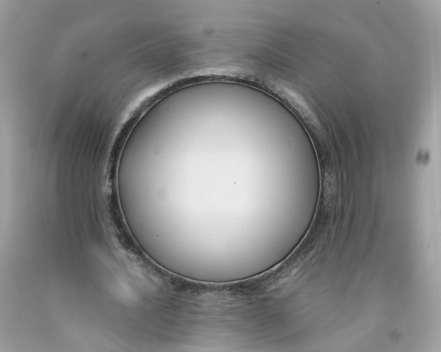 X0000091540628200709141456