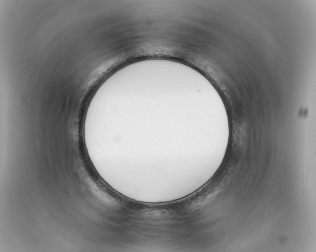 X0000091540629200709141456