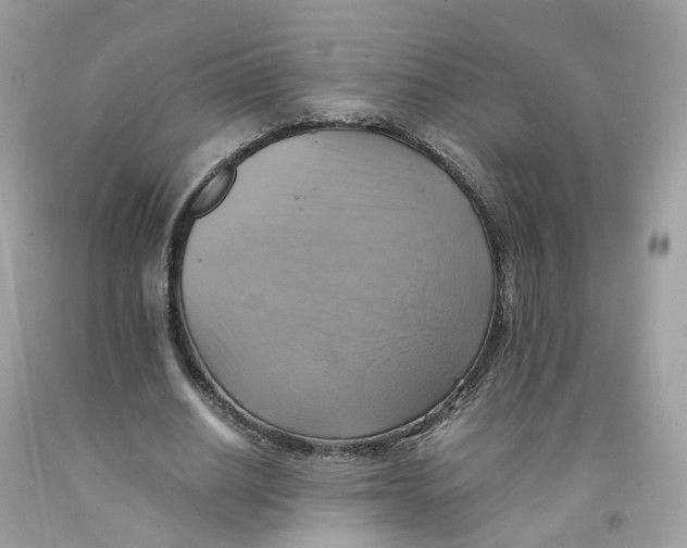 X0000091540630200709141456