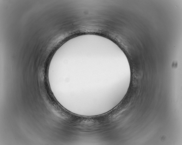 X0000091540631200709141456