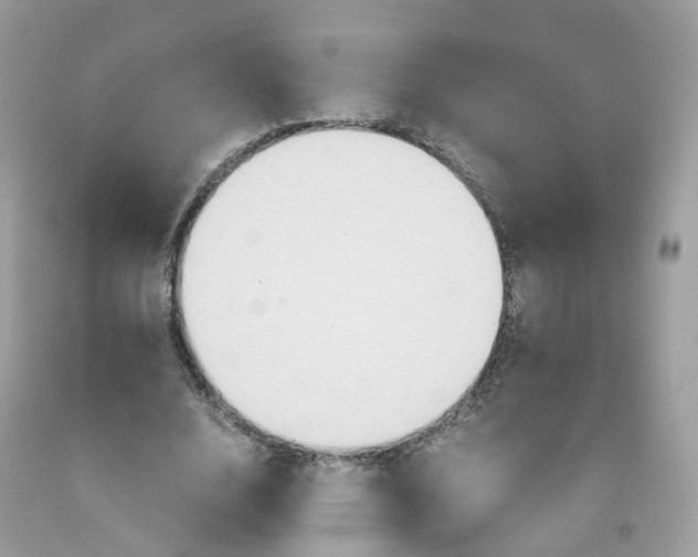 X0000091540632200709141456