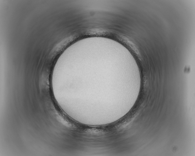 X0000091540633200709141456