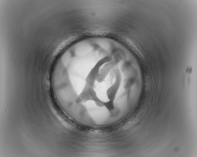 X0000091540634200709141456