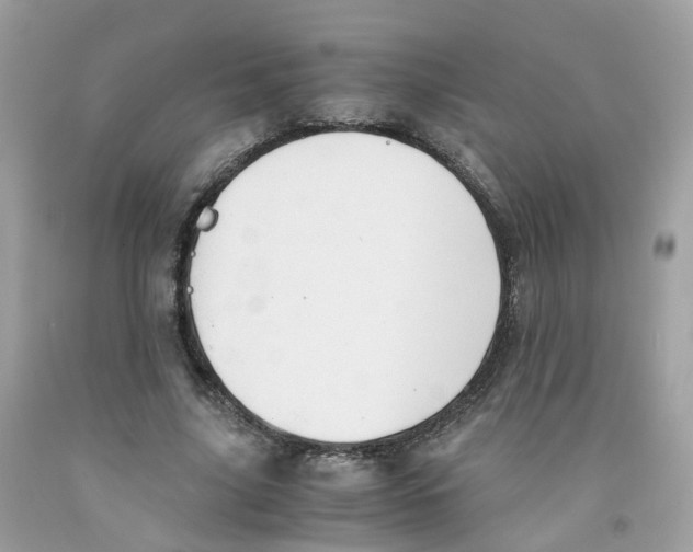 X0000091540635200709141456