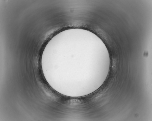 X0000091540636200709141456