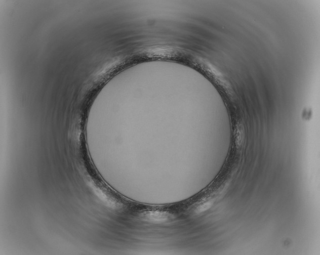 X0000091540637200709141456