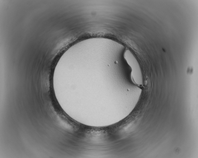 X0000091540638200709141456