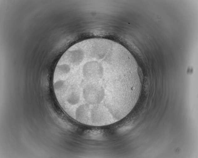 X0000091540639200709141456