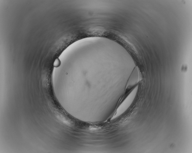 X0000091540641200709141456