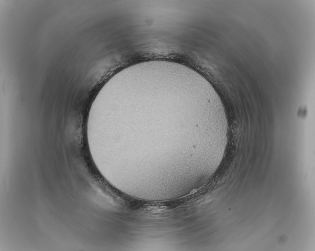 X0000091540642200709141456