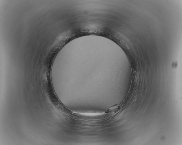 X0000091540643200709141456