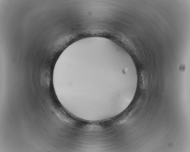 X0000091540644200709141456