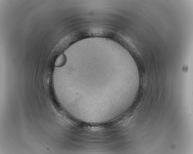 X0000091540645200709141456