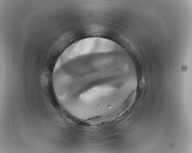 X0000091540647200709141456