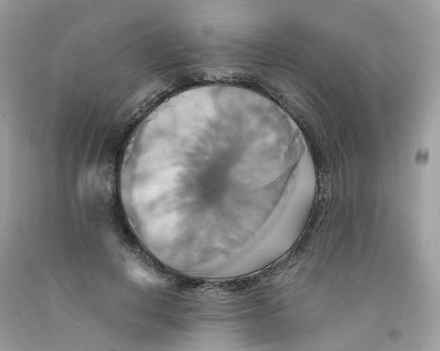 X0000091540648200709141456