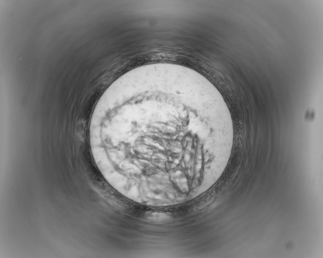 X0000091540649200709141456