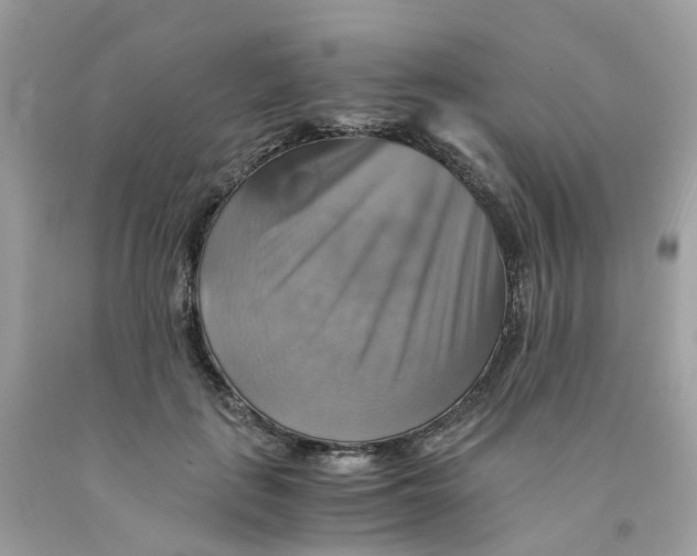 X0000091540651200709141456