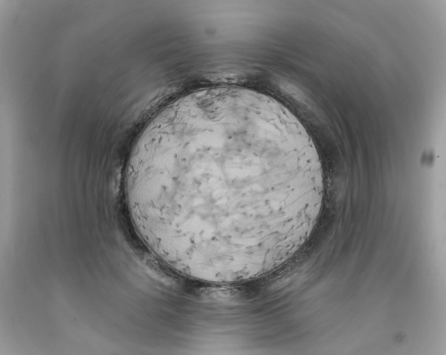 X0000091540652200709141456