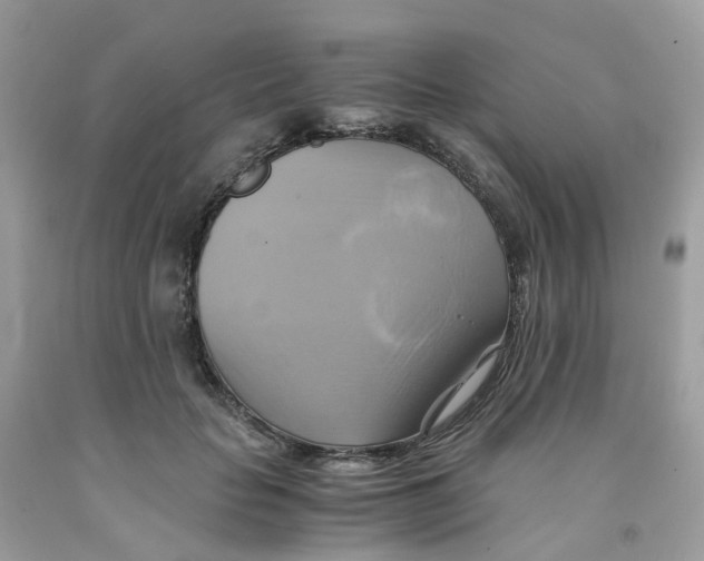 X0000091540653200709141456