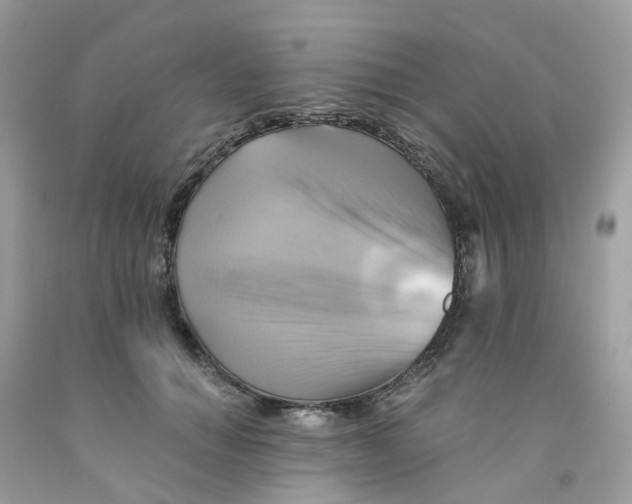 X0000091540654200709141456