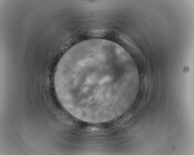 X0000091540655200709141456