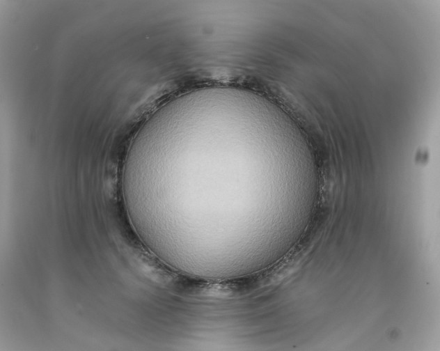 X0000091540656200709141456