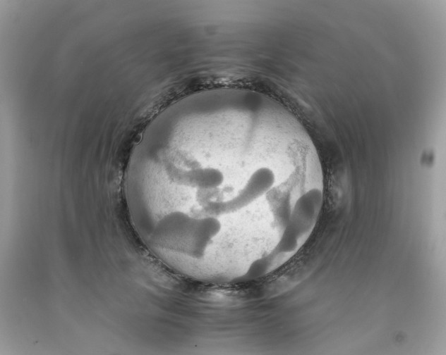 X0000091540657200709141456