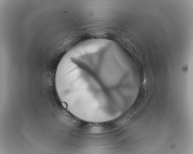 X0000091540658200709141456